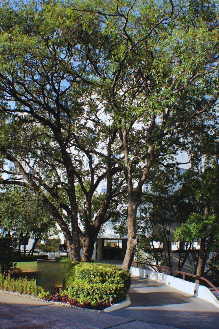 venta de departamento, lomas country club, huixquilucan, estado de méxico.