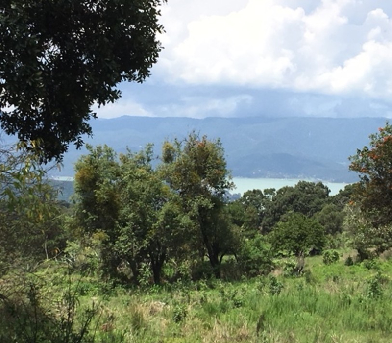 Terreno En Venta En San Gabriel Ixtla 