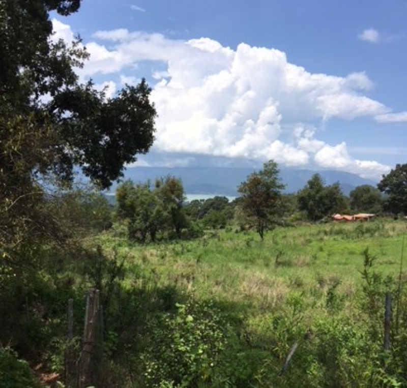 Terreno En Venta En San Gabriel Ixtla 