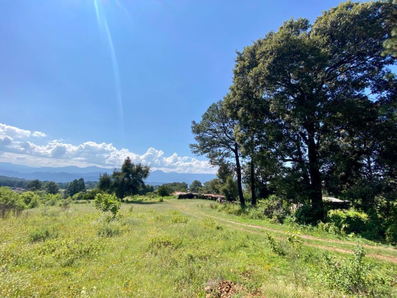 Terreno En Venta En San Gabriel Ixtla 