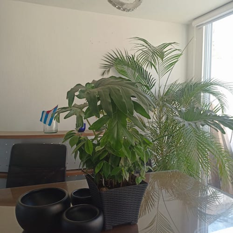 Casa En Venta En Valle Imperial