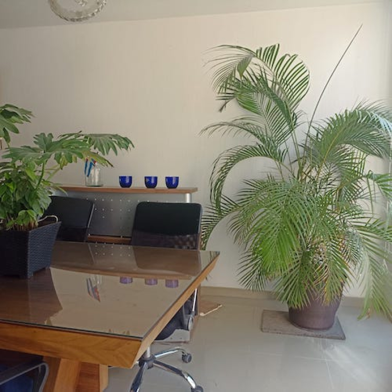 Casa En Venta En Valle Imperial