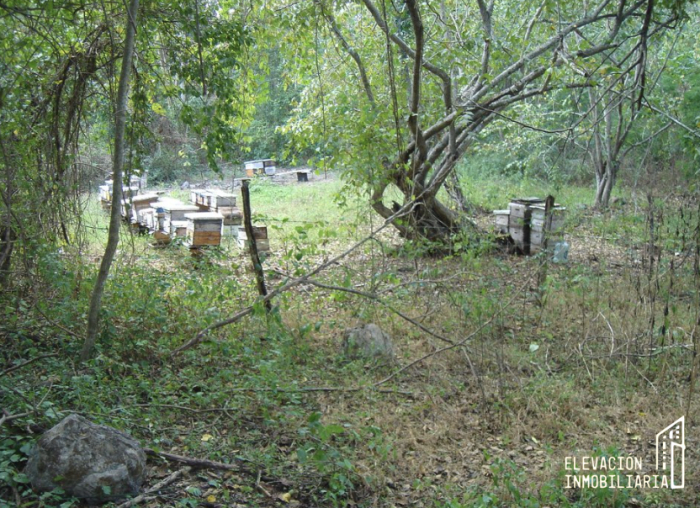 venta de rancho en sudzal, yucatán,méxico.