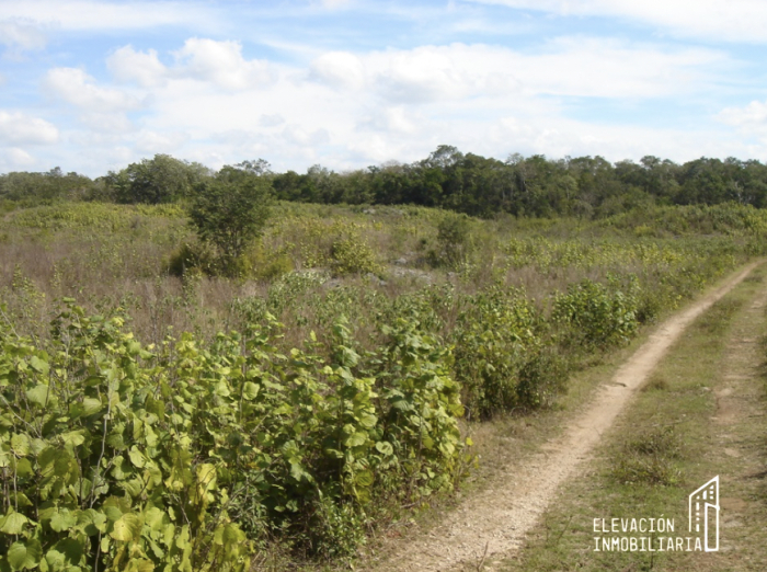 venta de rancho en sudzal, yucatán,méxico.