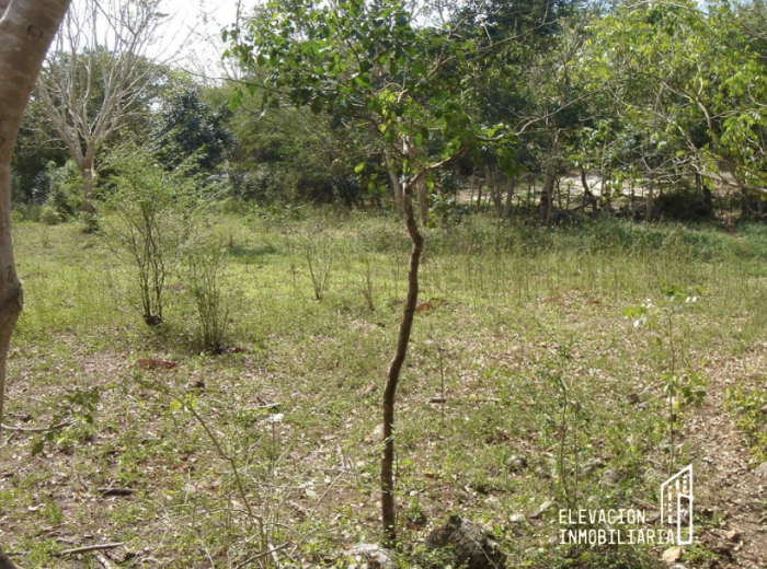 venta de rancho en sudzal, yucatán,méxico.