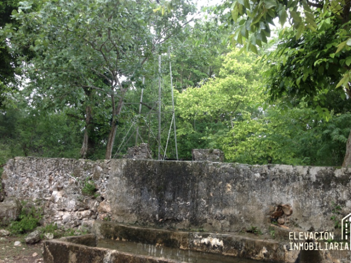 venta de rancho en sudzal, yucatán,méxico.