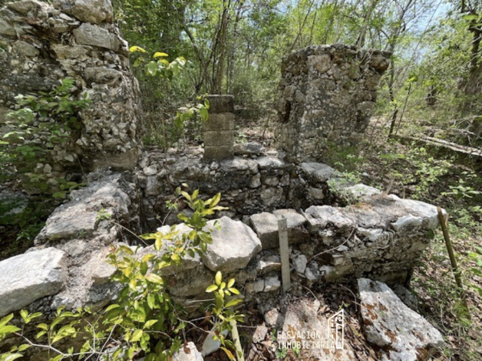 venta de rancho en sudzal, yucatán,méxico.