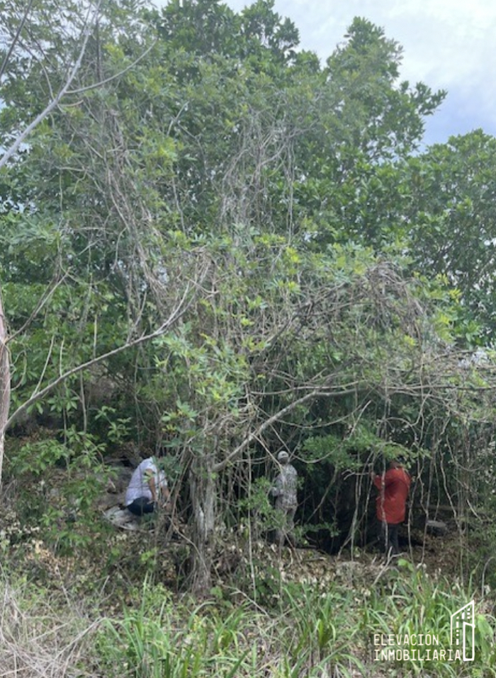 venta de rancho en sudzal, yucatán,méxico.