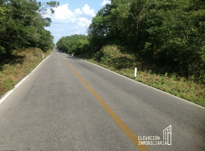 venta de rancho en sudzal, yucatán,méxico.