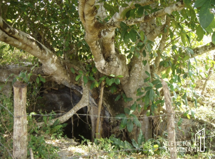 venta de rancho en sudzal, yucatán,méxico.