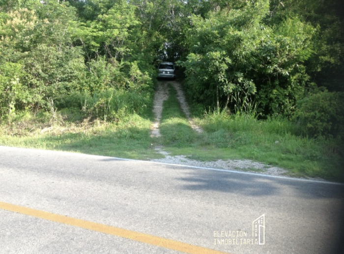 venta de rancho en sudzal, yucatán,méxico.