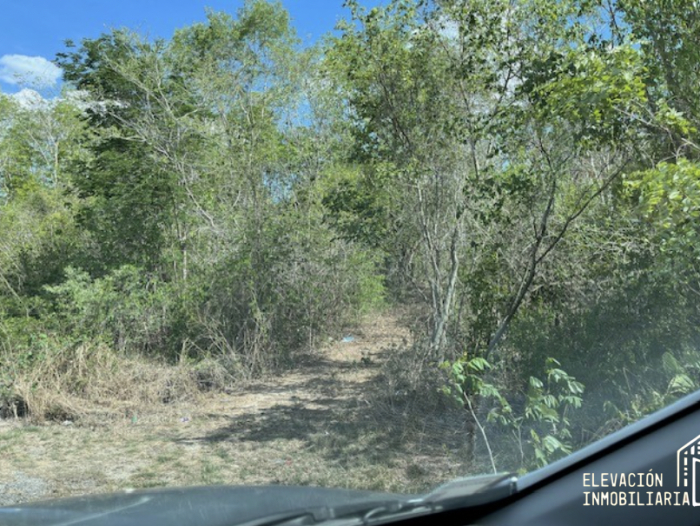 venta de rancho en sudzal, yucatán,méxico.