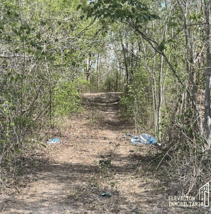 venta de rancho en sudzal, yucatán,méxico.