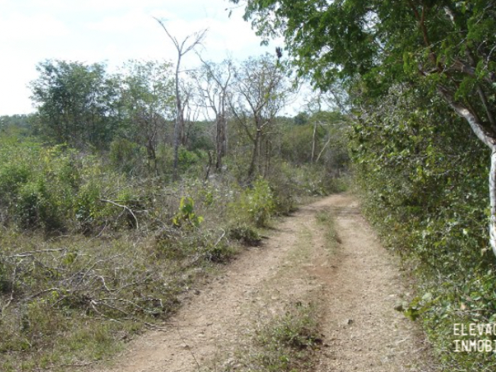 venta de rancho en sudzal, yucatán,méxico.