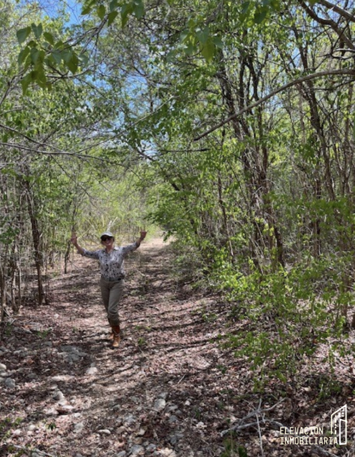 venta de rancho en sudzal, yucatán,méxico.
