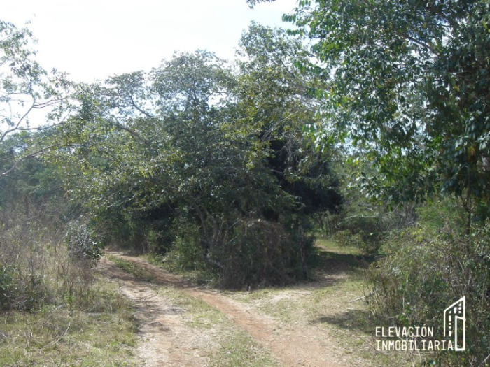 venta de rancho en sudzal, yucatán,méxico.