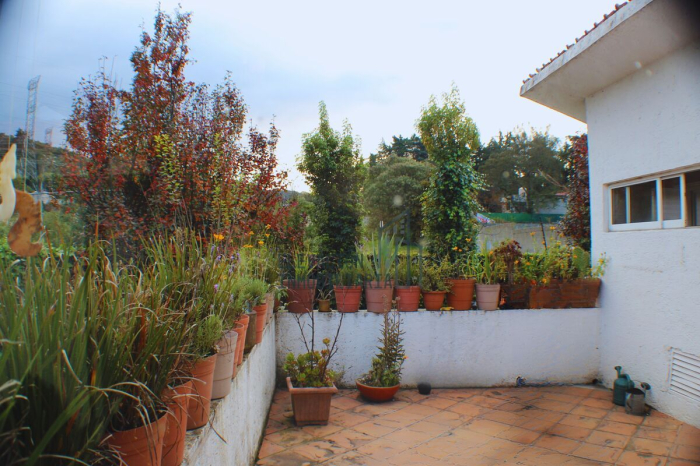 venta de casa en cuajimalpa morelos