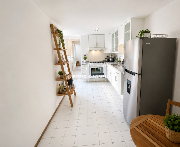 departamento en renta en polanco sección v