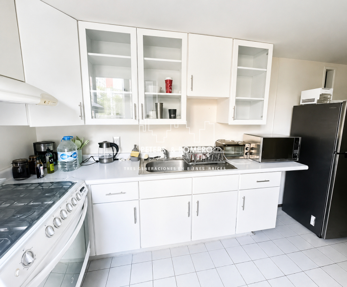 departamento en renta en polanco sección v