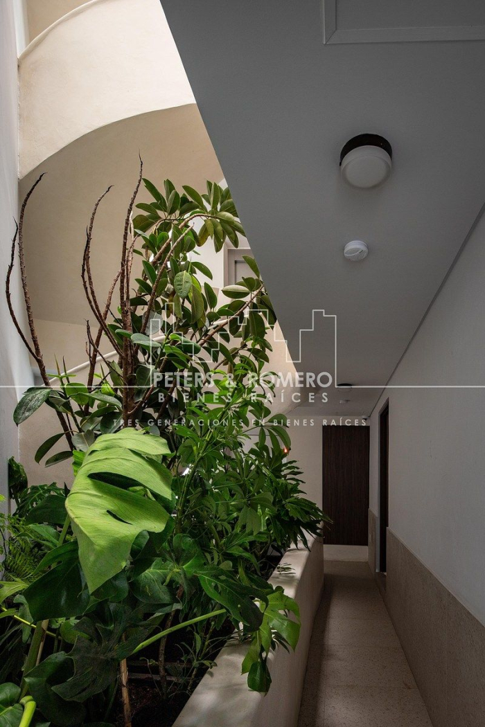 departamento en venta en roma norte