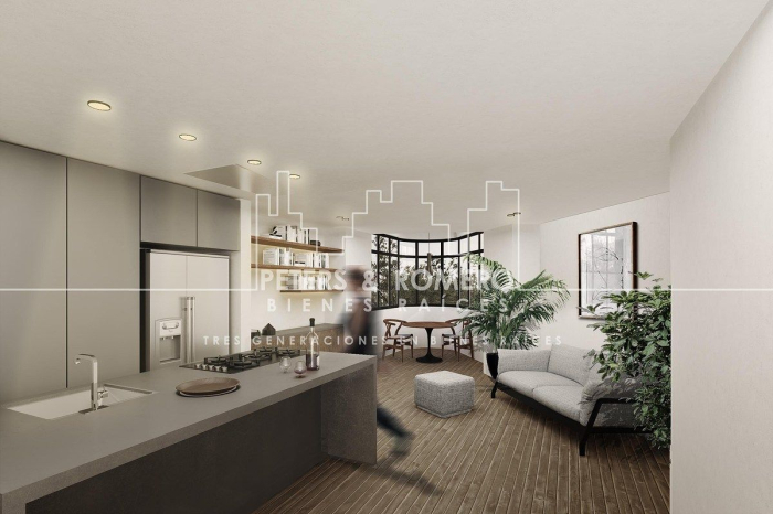 departamento en venta en roma norte