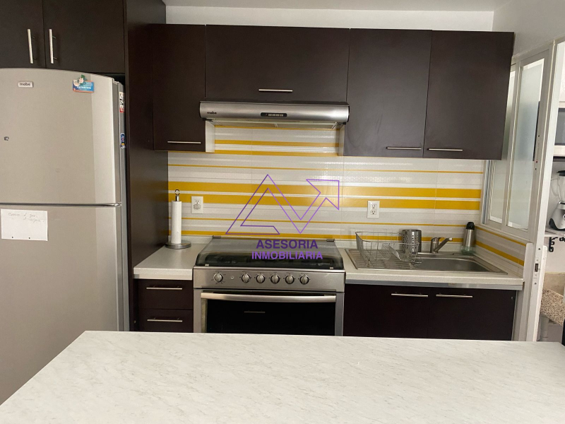 departamento en renta en anahuac
