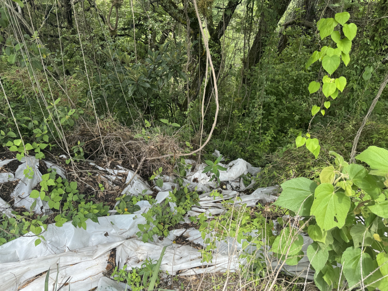 TERRRENO  EN  VENTA  IXTAPAN DE  LA  SAL