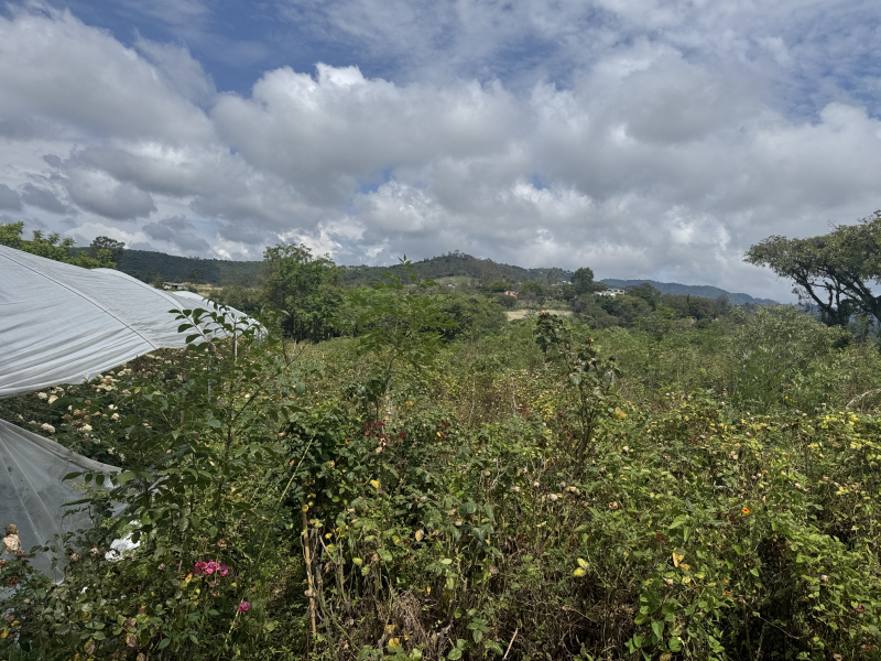 TERRRENO  EN  VENTA  IXTAPAN DE  LA  SAL