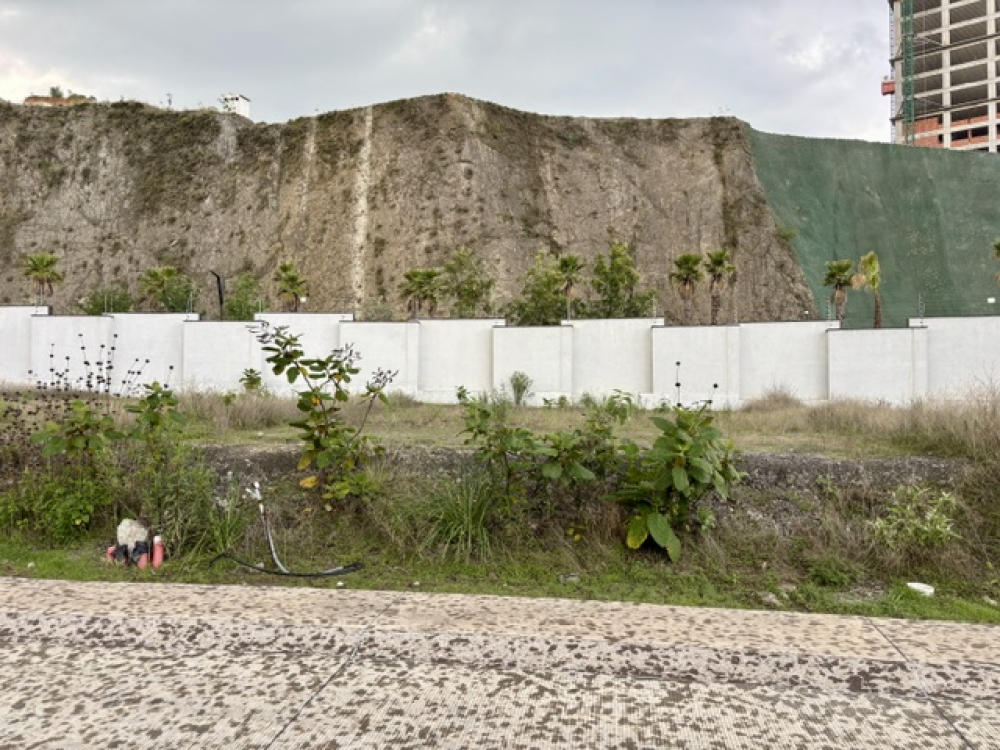 terreno en venta, bosque real
