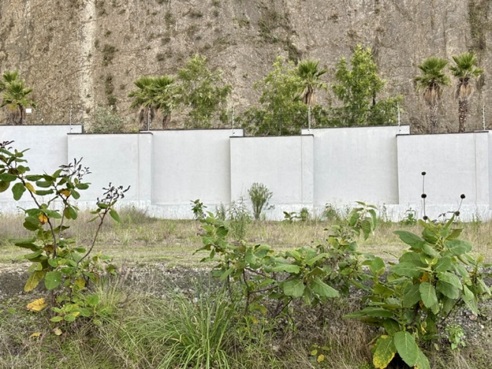 terreno en venta, bosque real