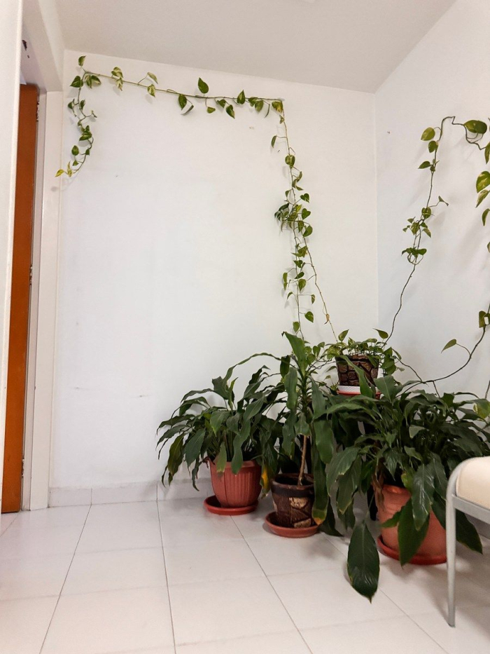 casa en venta en boulevares