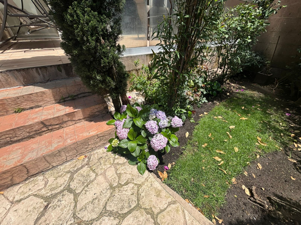 Departamento En Venta En Bosques De Las Palmas