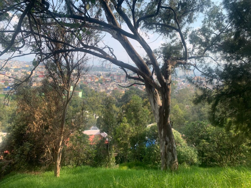 TERRENO EN VENTA LOMAS DE SANTA FE 