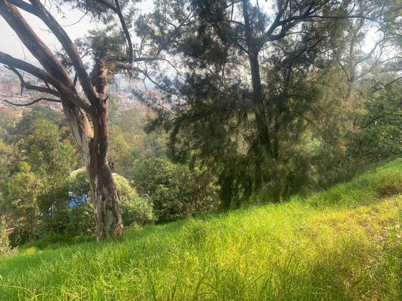 TERRENO EN VENTA LOMAS DE SANTA FE 