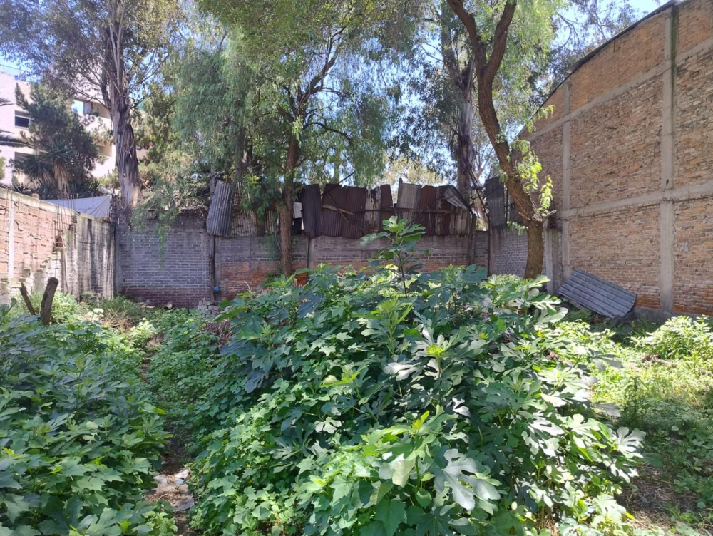Terreno En Venta En Cerca De La Central De Abastos