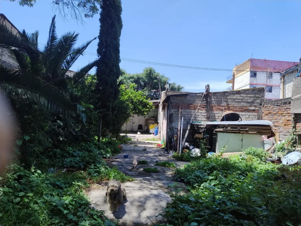 Terreno En Venta En Cerca De La Central De Abastos