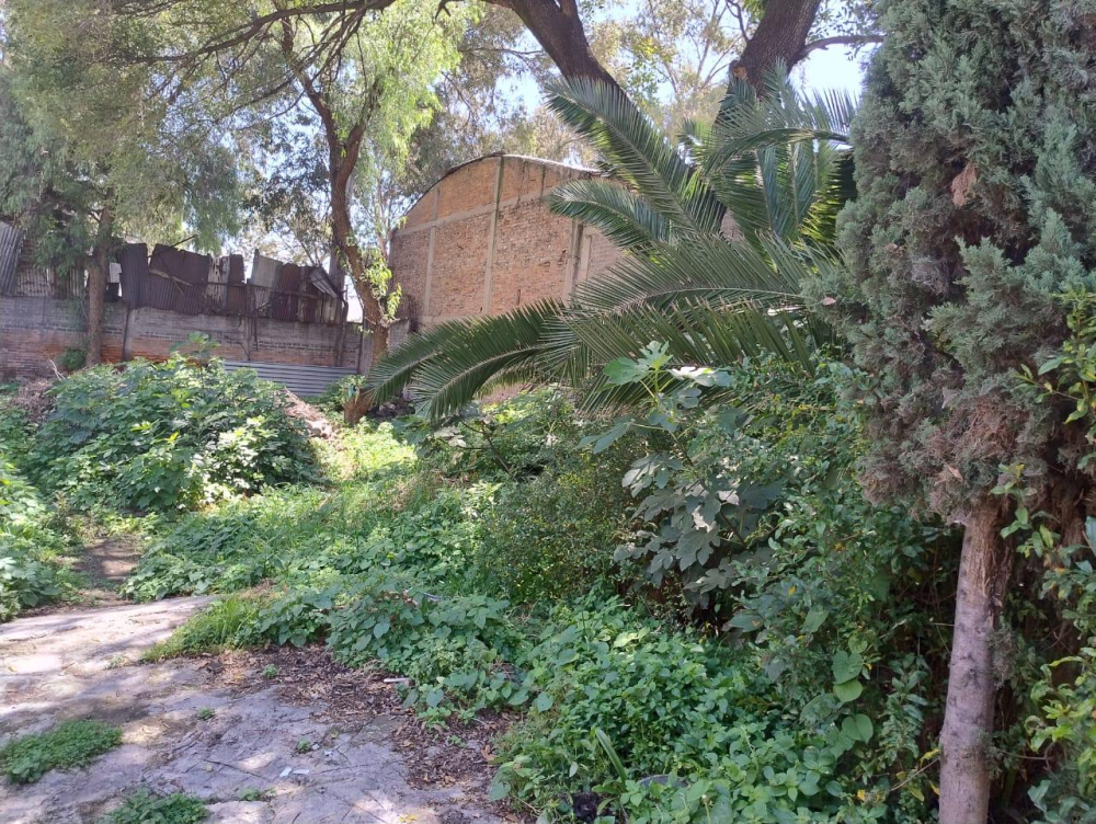 Terreno En Venta En Cerca De La Central De Abastos