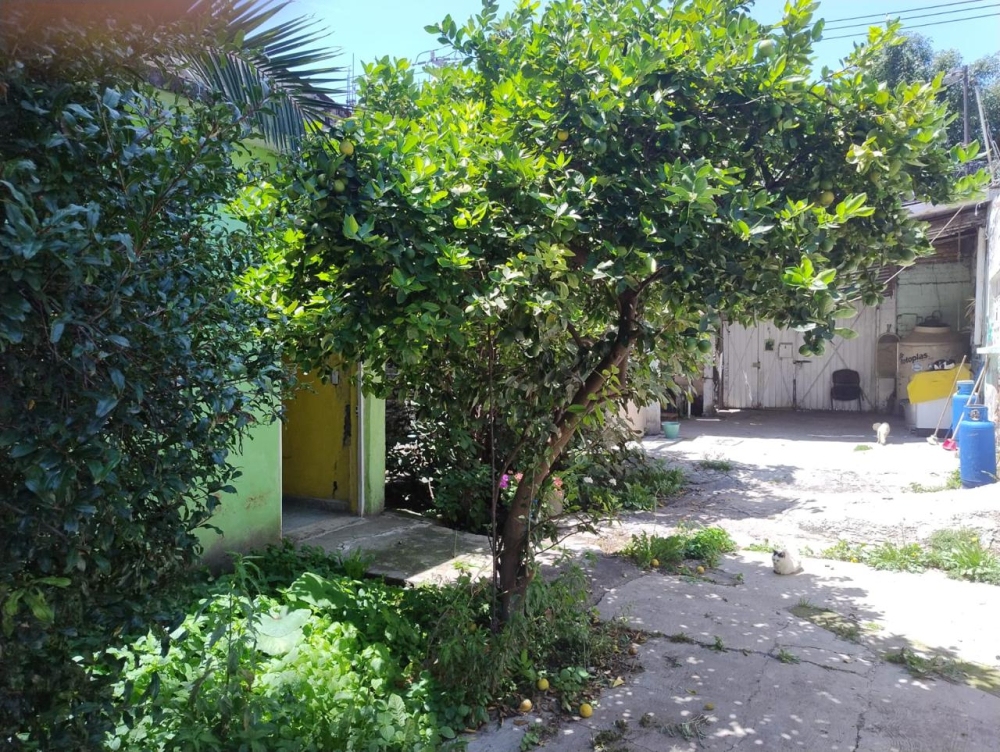 Terreno En Venta En Cerca De La Central De Abastos