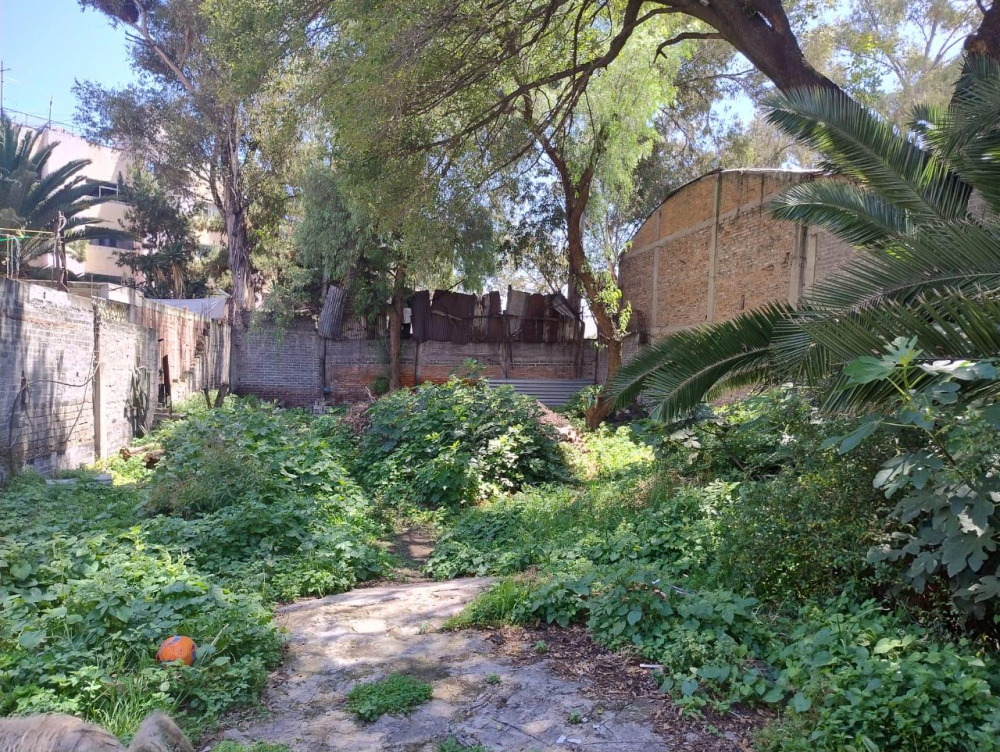 Terreno en Venta en cerca de la Central de Abastos