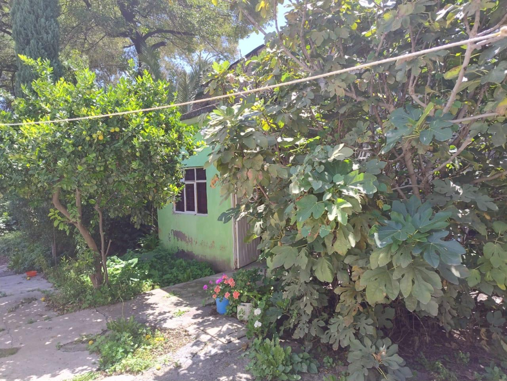 Terreno En Venta En Cerca De La Central De Abastos