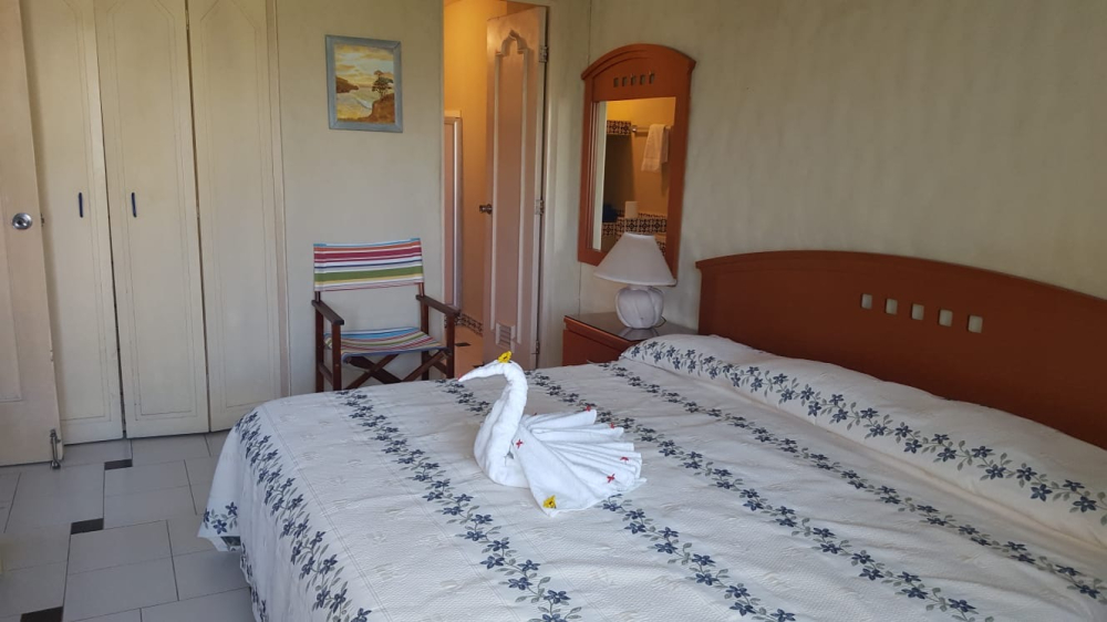 departamento en renta en ixtapa zihuatanejo 