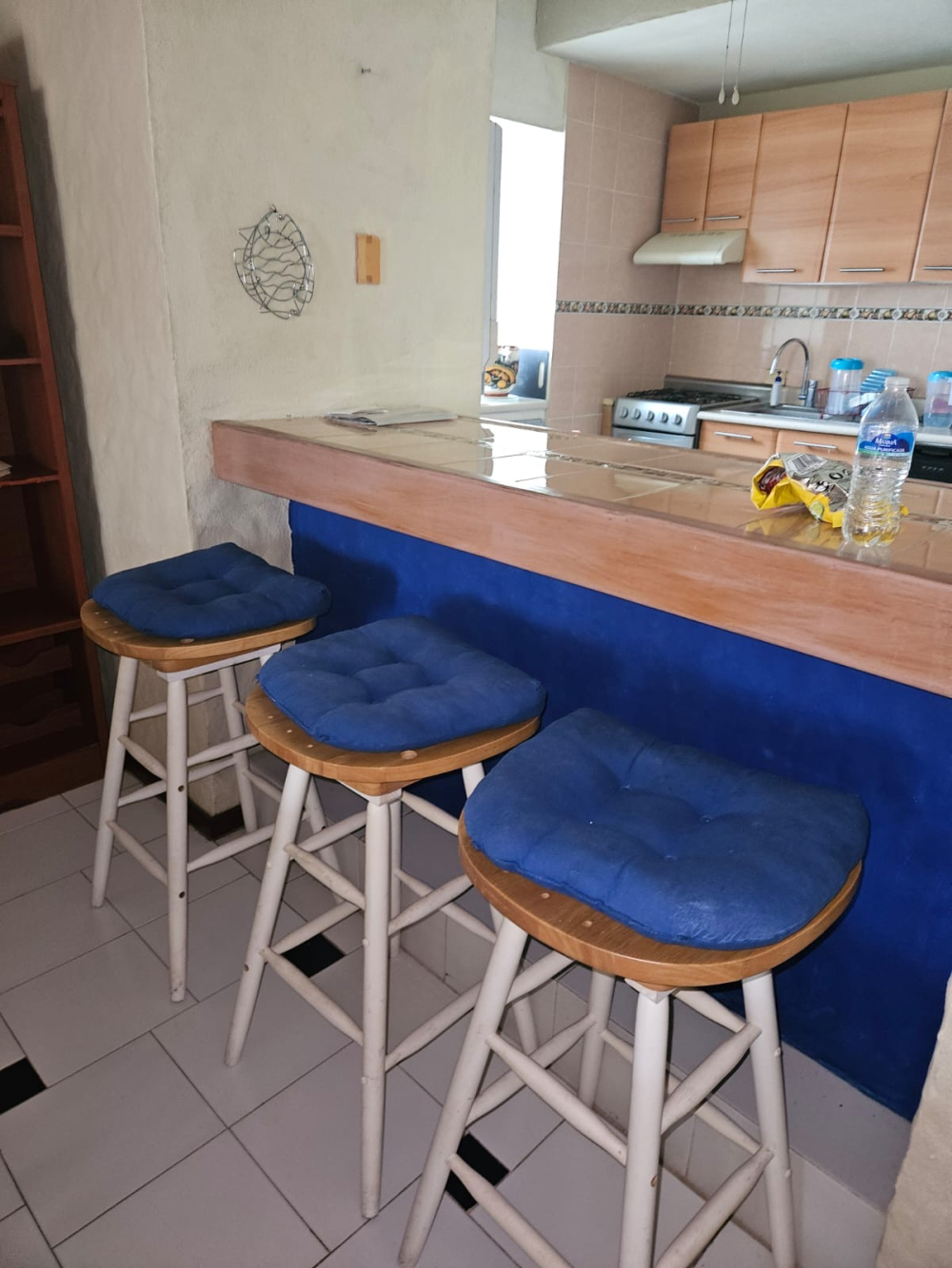 departamento en renta en ixtapa zihuatanejo 
