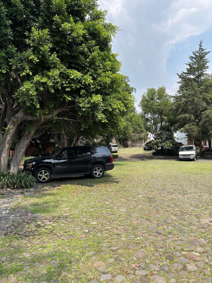 renta casa en molino de santo domingo