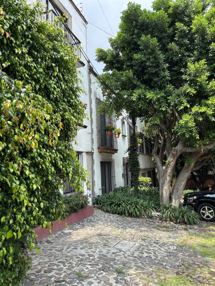 renta casa en molino de santo domingo