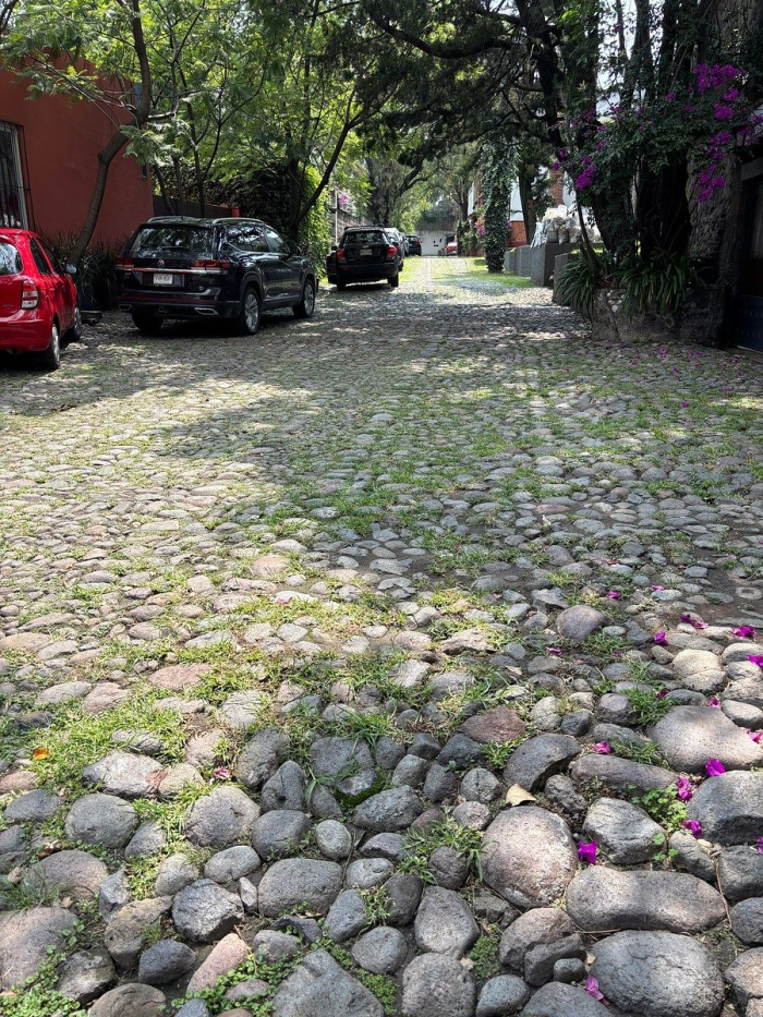 renta casa en molino de santo domingo
