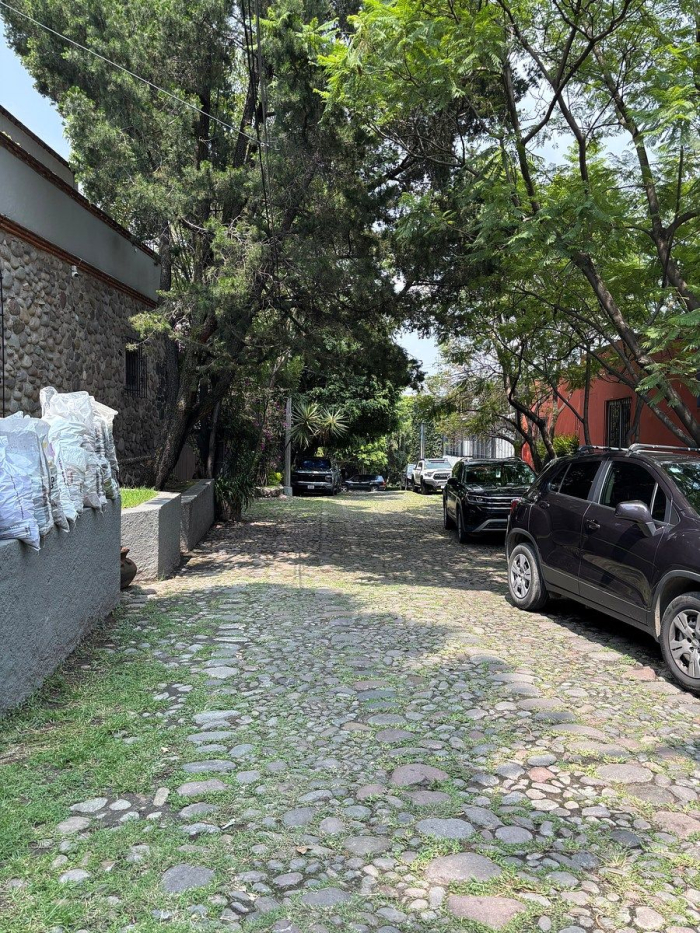 renta casa en molino de santo domingo