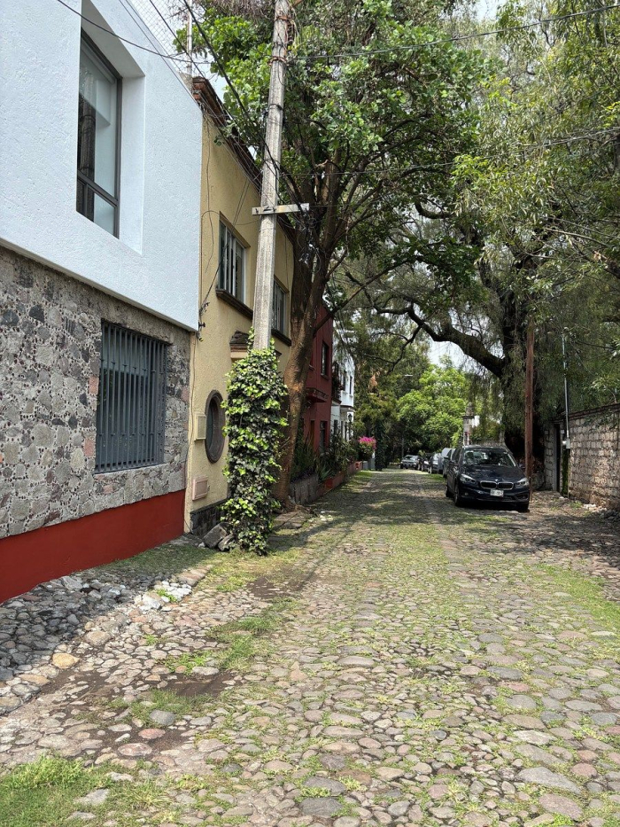 renta casa en molino de santo domingo