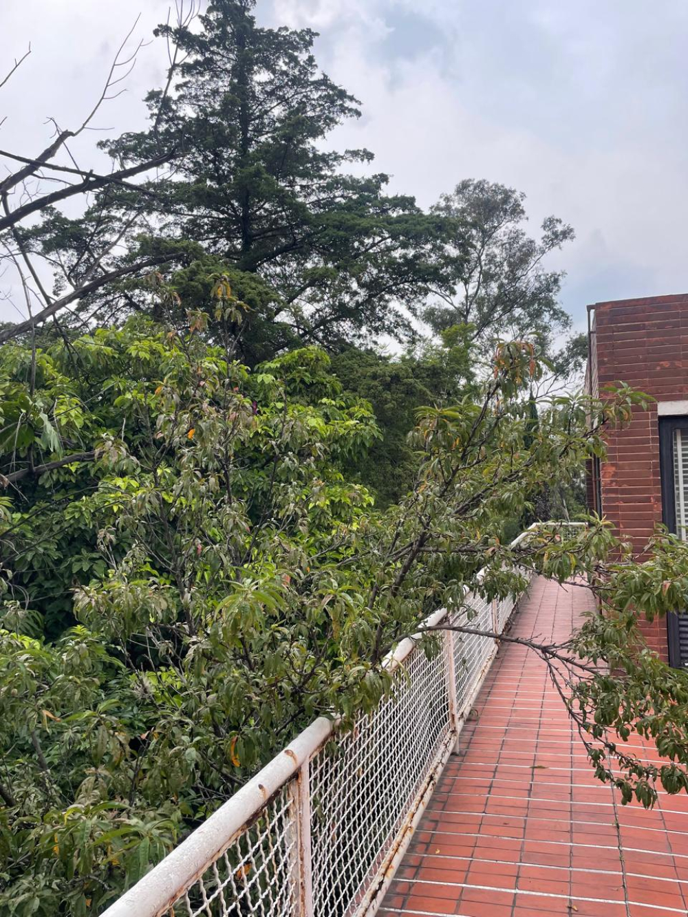 Terreno En Venta En Lomas De Chapultepec
