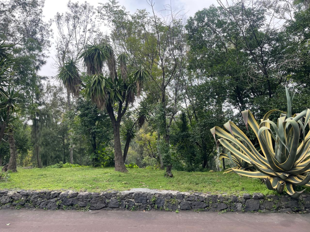 Terreno En Venta En Lomas De Chapultepec
