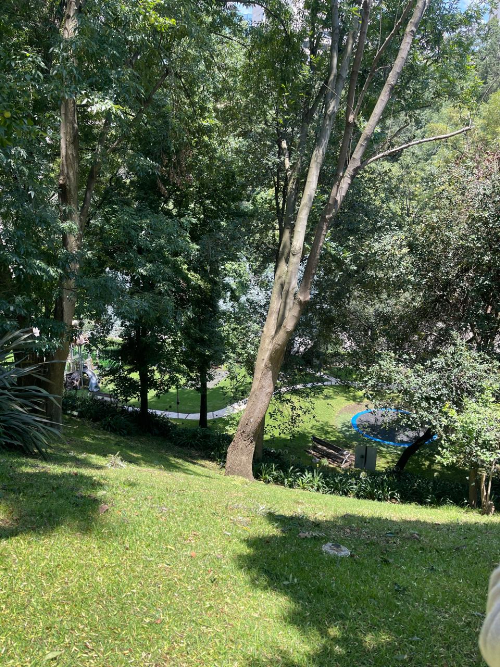 Departamento En Venta En Lomas De Las Palmas | Frondoso 1